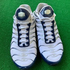 Nike air max plus silver shark